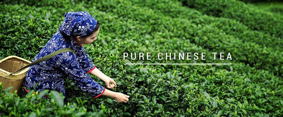 China best organische oolongthee op verkoop